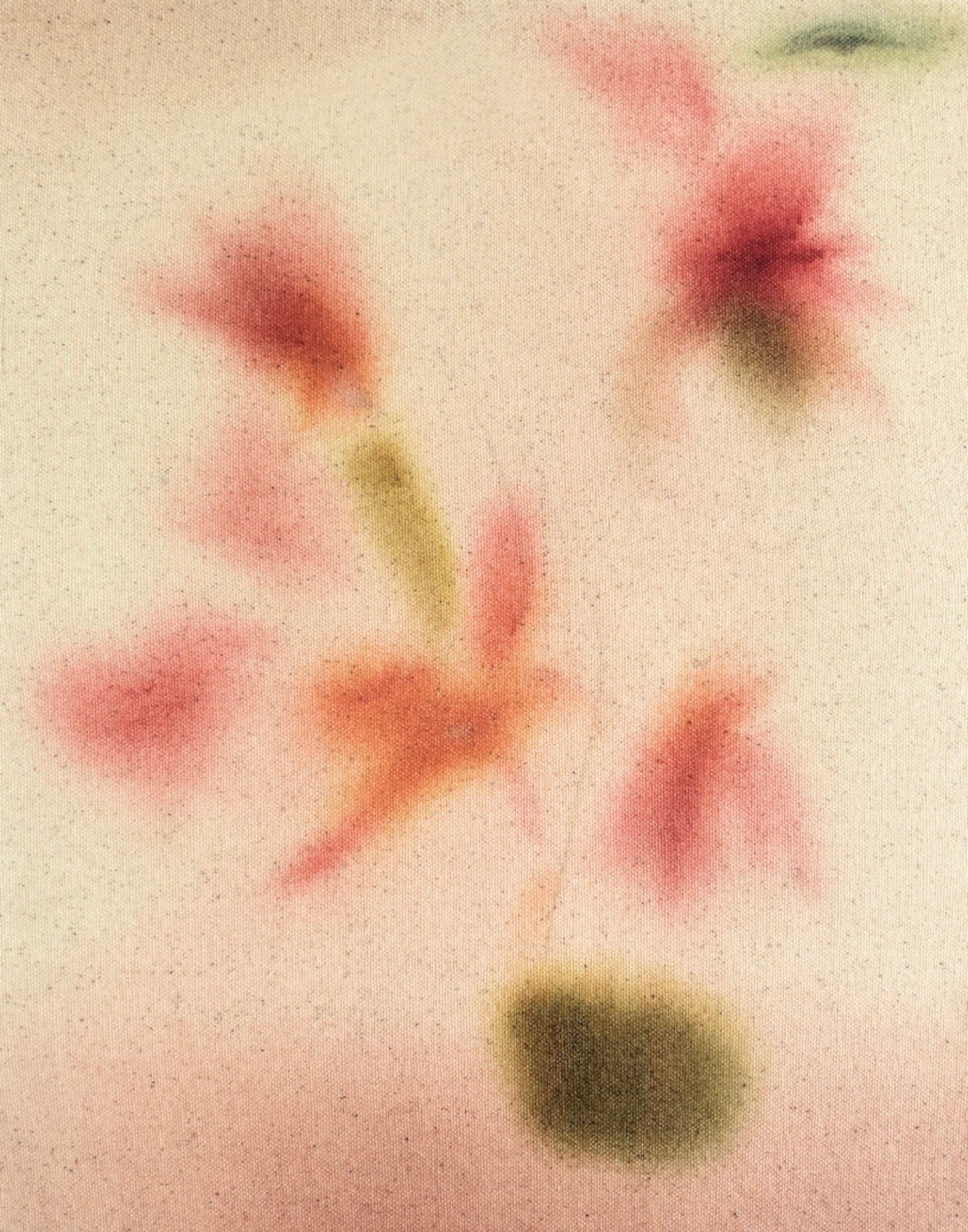 Autumn Sunlight Fine Art Print