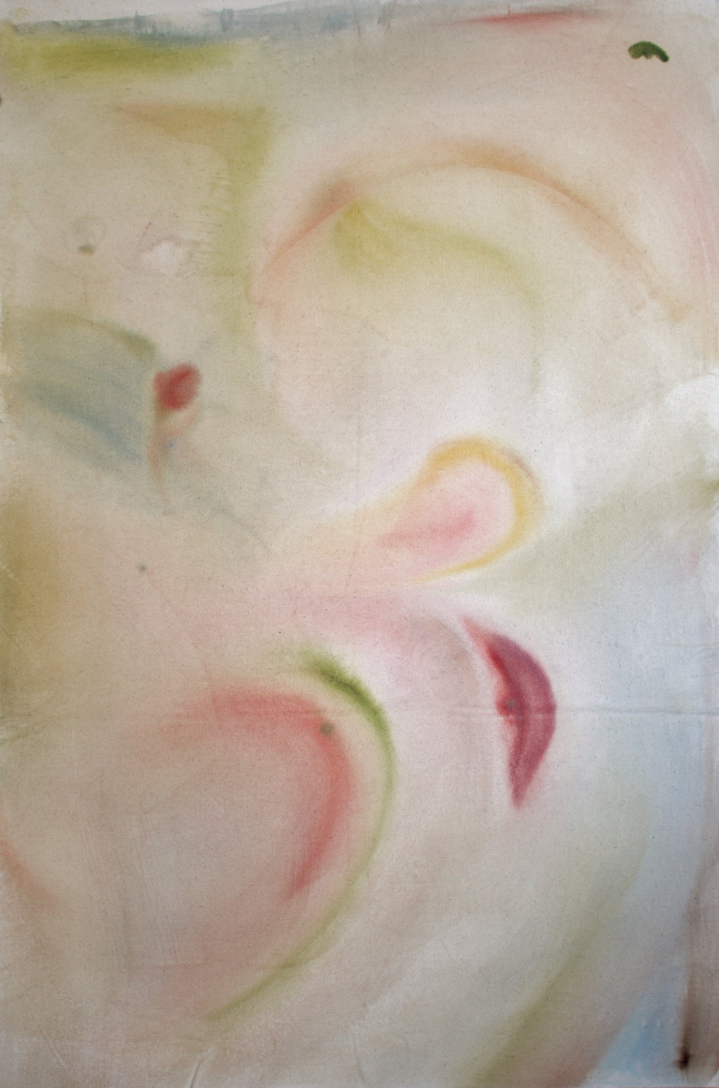 Peonies In Full Bloom Fine Art Print