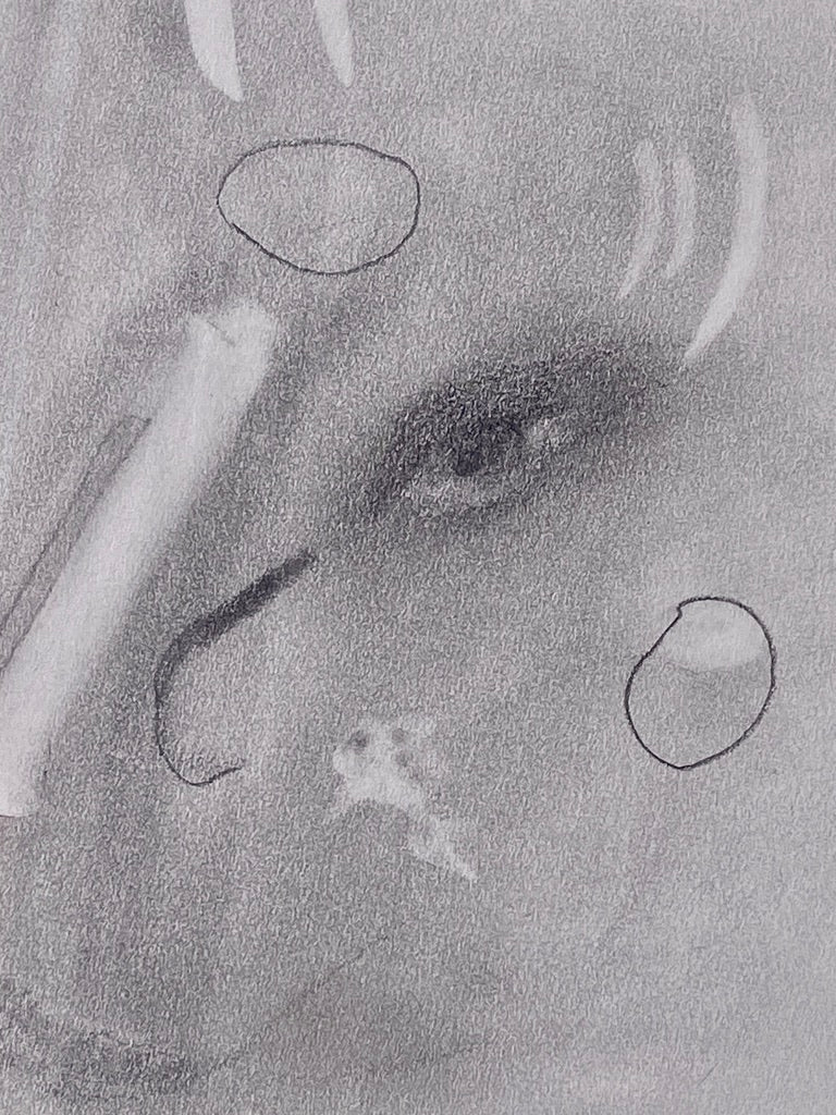 Peering Into Pond Water