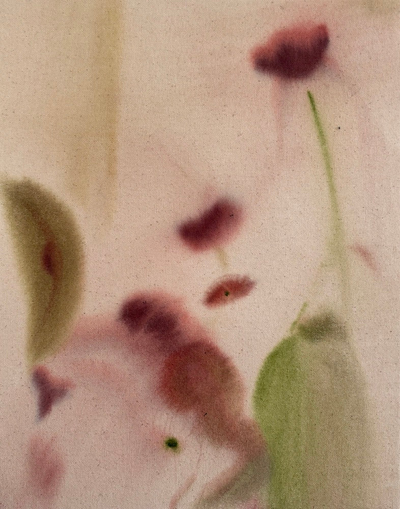 Lotus Pond Fine Art Print