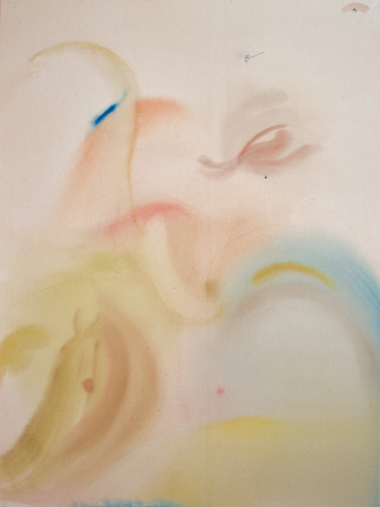 Dragonfly Lake Fine Art Print