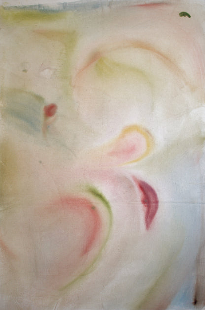 Peonies In Full Bloom Fine Art Print